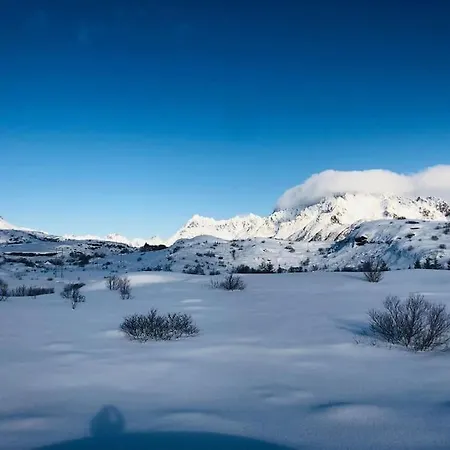 Lofoten Leilighet Svolvær