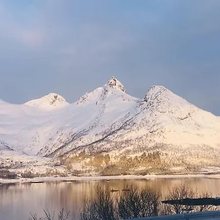 公寓 Lofoten 斯沃尔韦尔