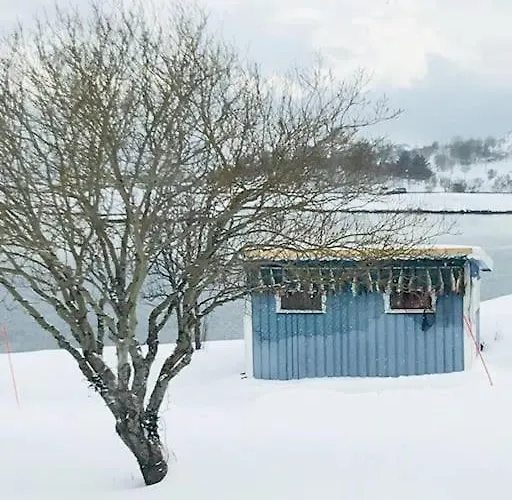 Lofoten * Svolvaer