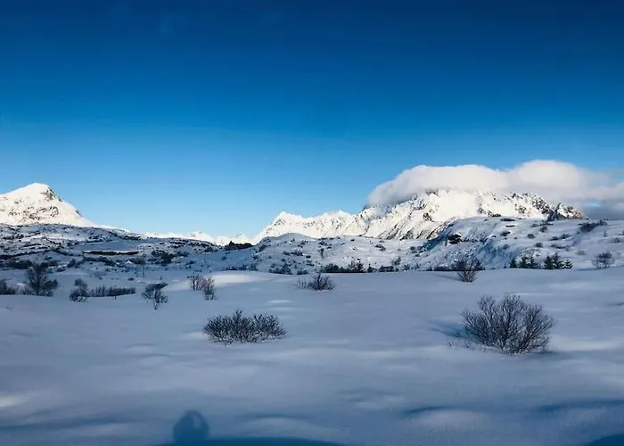 Lofoten Appartement Svolvær
